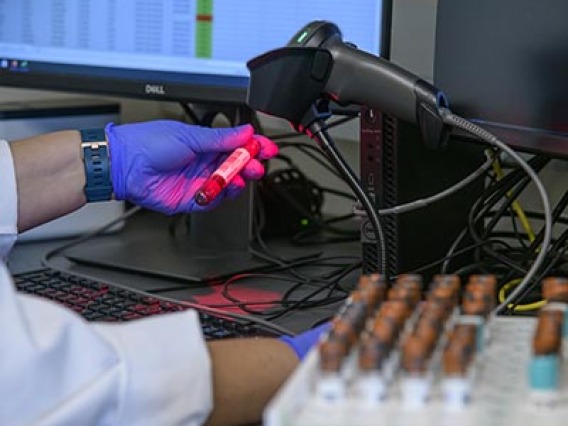 FDA Authorizes Use of UArizona COVID-19 Antibody Test; Testing Expanded to All Arizonans Age 18 and Older