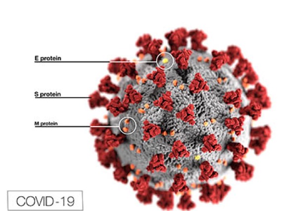 UArizona, State Expand COVID-19 Antibody Test Eligibility, Launch $7.7M Study on Immunity
