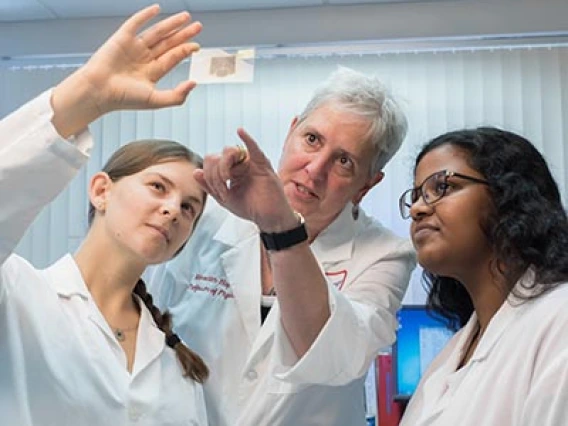 Researchers Prepare First Potential Drug Therapy for Vascular Dementia for Clinical Trials