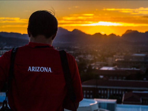 The back of a person wearing an Arizona shirt watching a sunset over the mountains.