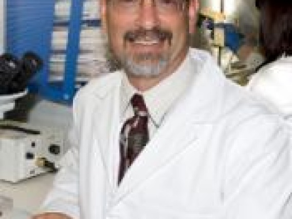 Scott J Sherman, MD., PhD.
