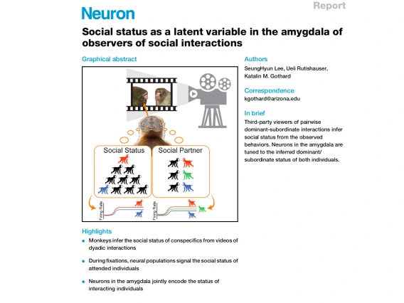 Diagram of monkeys observing other monkeys as part of the study published in Neuron.  The title of the study, as well as the paper Neuron, and the authors, are all listed out around the monkeys in the diagram.