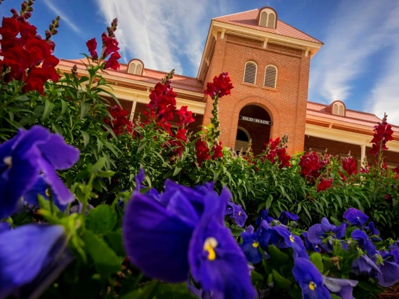 University of Arizona Old Main Building