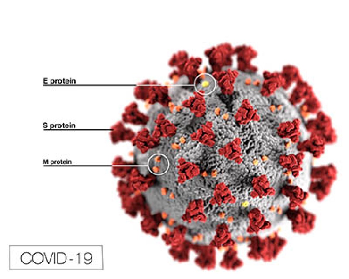 UArizona, State Expand COVID-19 Antibody Test Eligibility, Launch $7.7M Study on Immunity
