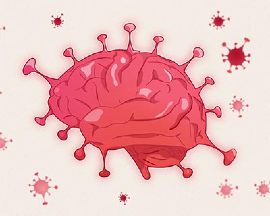 UArizona Researchers Investigate How COVID-19 Impacts the Brain