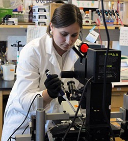 Angela Greenman, PhD, MS works in her lab